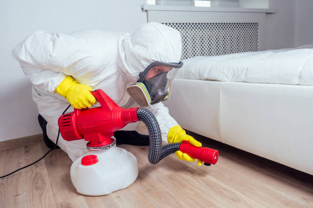 Best Fumigation Services  in Lyndonville, VT